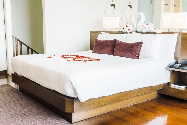 Ideal Bed Discovering the Ideal Bed: A Comprehensive Guide