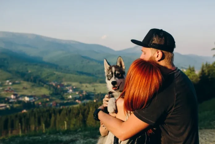 Financial Opportunities For Animal Lovers