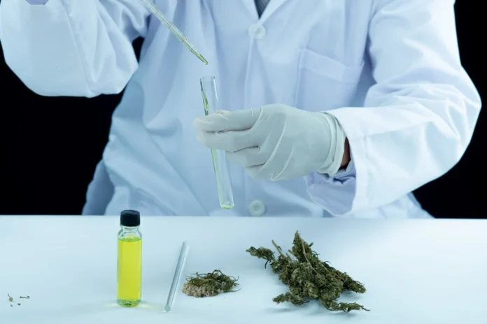 A scientist in a lab coat analyzing medicinal marijuana oil with a pipette and test tube, alongside dried cannabis buds and seeds.