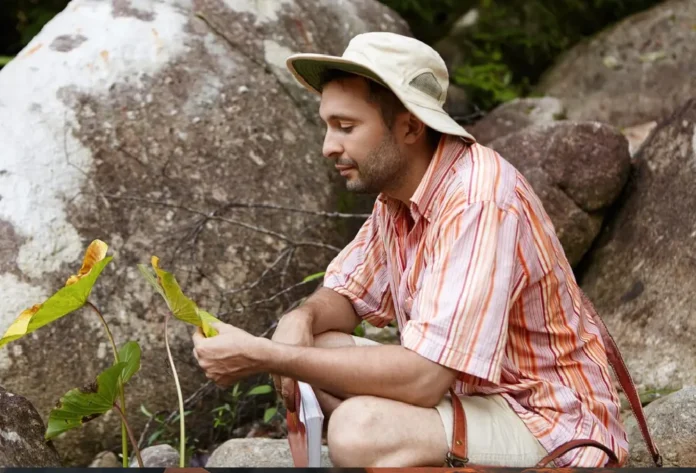 Crafting a Tranquil Oasis