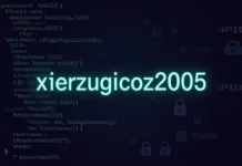 What Xierzugicoz2005 Reveals About Digital Identity and Security xierzugicoz2005 string shown on a screen with digital identifier and password security icons